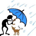 regen